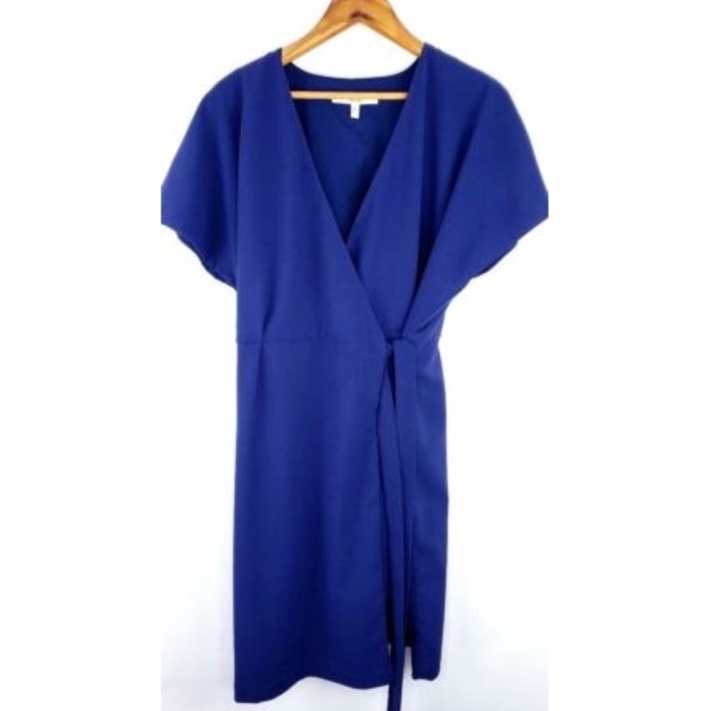 Lark & Ro Women's Blue Wrap Dress Size Large